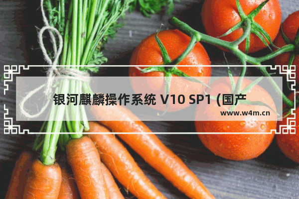 银河麒麟操作系统 V10 SP1 (国产Linux系统)_免费正版授权