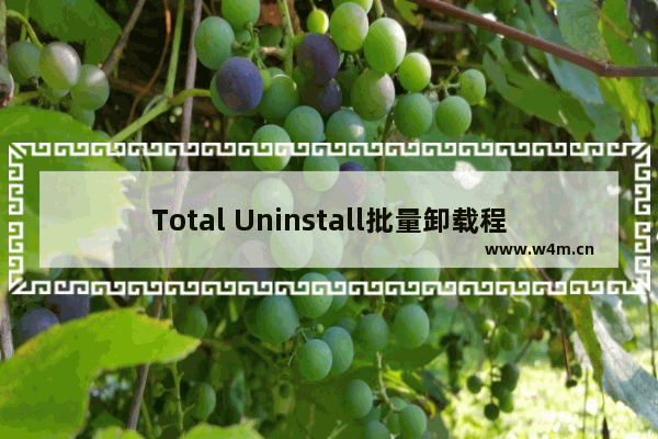 Total Uninstall批量卸载程序的方法