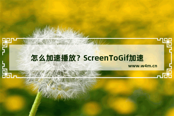 怎么加速播放？ScreenToGif加速播放的方法