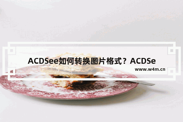 ACDSee如何转换图片格式？ACDSee转换格式的方法