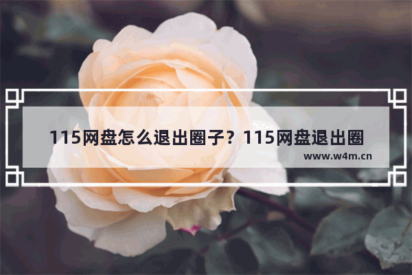 115网盘怎么退出圈子？115网盘退出圈子的方法