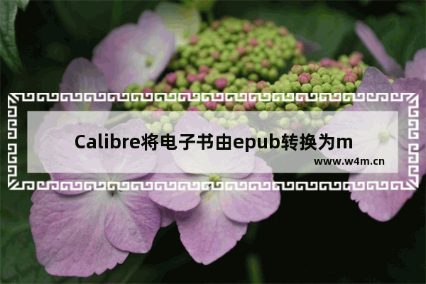 Calibre将电子书由epub转换为mobi格式的方法