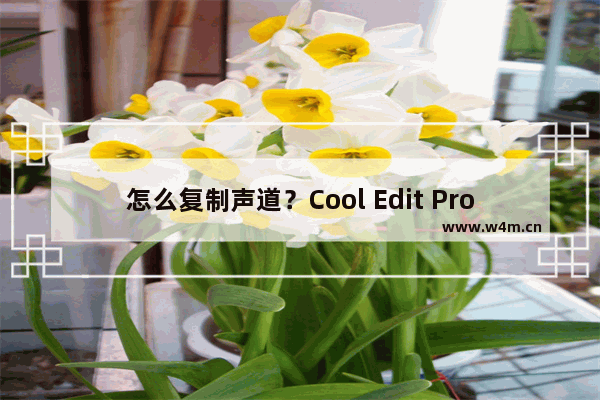 怎么复制声道？Cool Edit Pro复制声道的方法