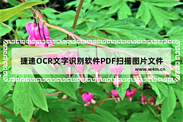 捷速OCR文字识别软件PDF扫描图片文件转换成Word的方法