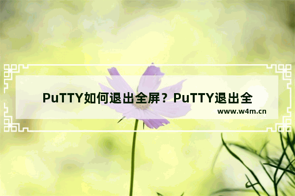 PuTTY如何退出全屏？PuTTY退出全屏的技巧