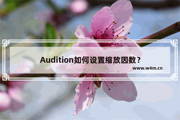 Audition如何设置缩放因数？