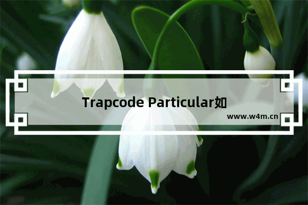 Trapcode Particular如何制作烟雾？