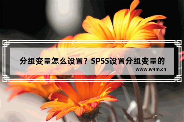 分组变量怎么设置？SPSS设置分组变量的方法