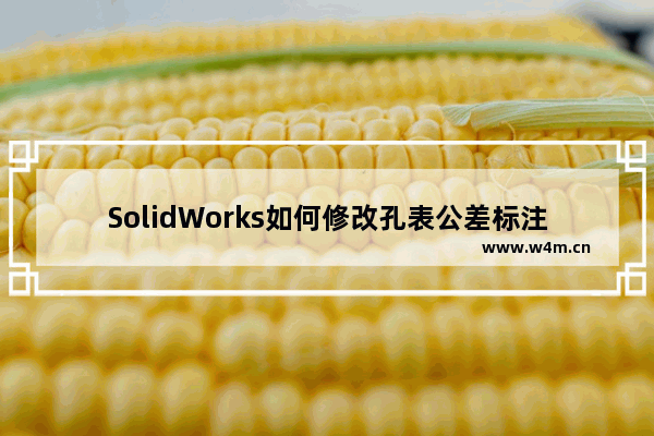 SolidWorks如何修改孔表公差标注字体大小？