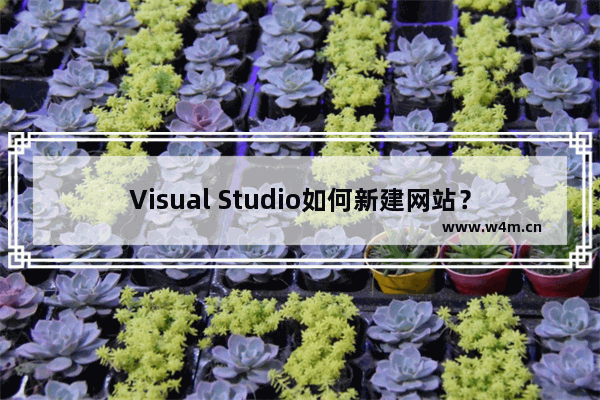 Visual Studio如何新建网站？Visual Studio新建网站的技巧