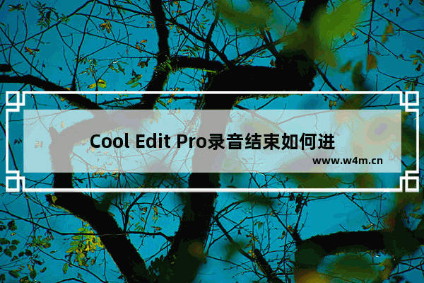 Cool Edit Pro录音结束如何进行降噪处理？