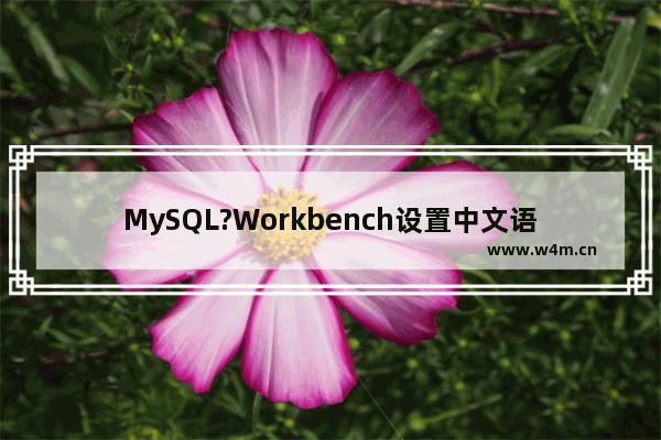 MySQL?Workbench设置中文语言的方法