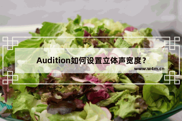 Audition如何设置立体声宽度？