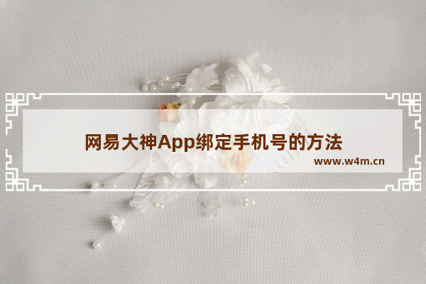 网易大神App绑定手机号的方法