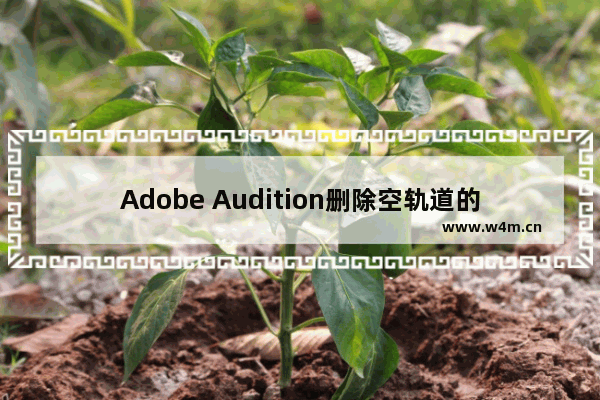 Adobe Audition删除空轨道的方法