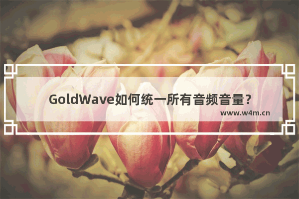 GoldWave如何统一所有音频音量？