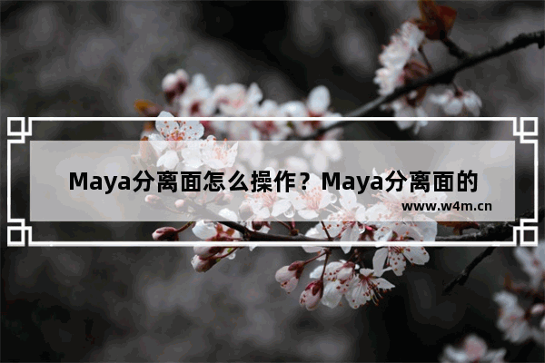 Maya分离面怎么操作？Maya分离面的操作教程