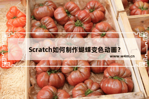 Scratch如何制作蝴蝶变色动画？