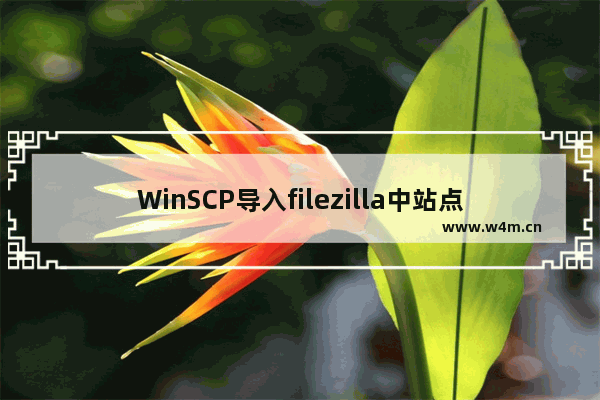 WinSCP导入filezilla中站点的方法