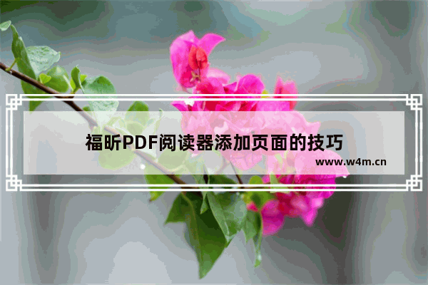 福昕PDF阅读器添加页面的技巧