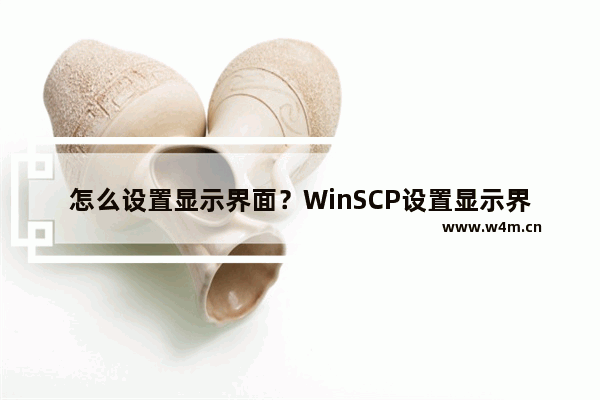 怎么设置显示界面？WinSCP设置显示界面的方法