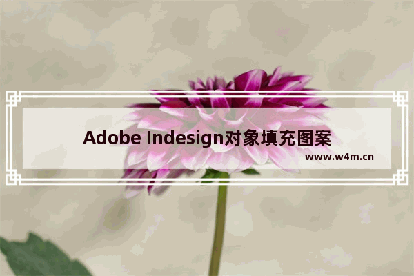 Adobe Indesign对象填充图案变透明并保持描边不变的技巧