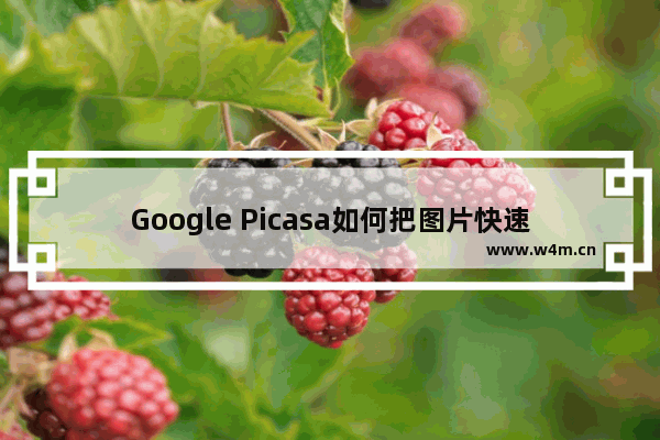 Google Picasa如何把图片快速分割？