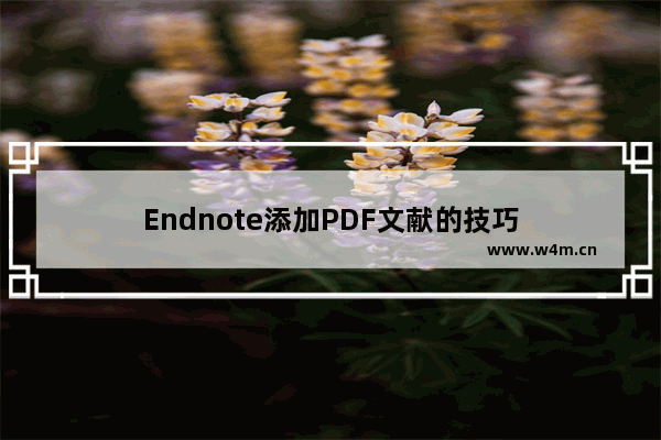 Endnote添加PDF文献的技巧