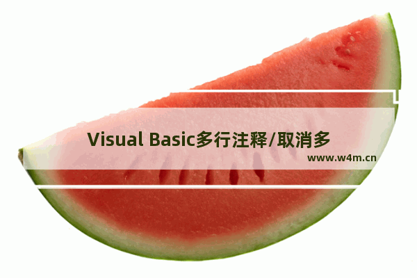 Visual Basic多行注释/取消多行注释的方法