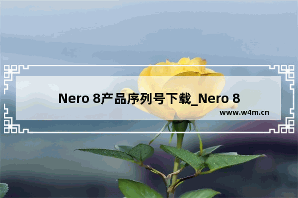 Nero 8产品序列号下载_Nero 8永久激活