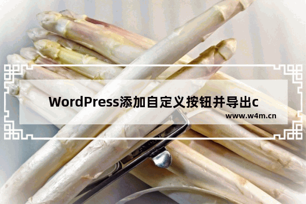 WordPress添加自定义按钮并导出csv的技巧