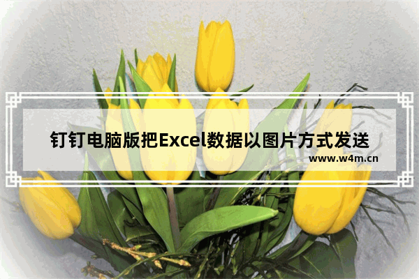 钉钉电脑版把Excel数据以图片方式发送的技巧