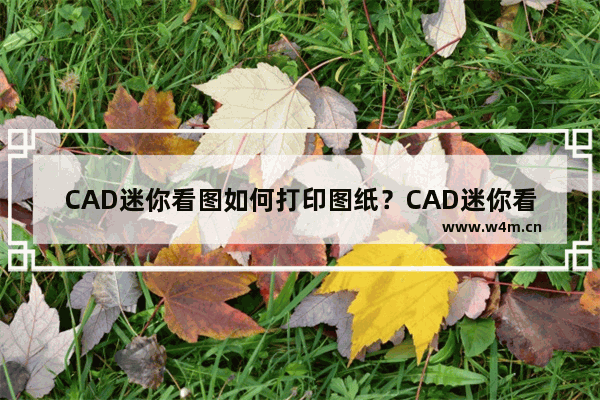 CAD迷你看图如何打印图纸？CAD迷你看图打印图纸的技巧