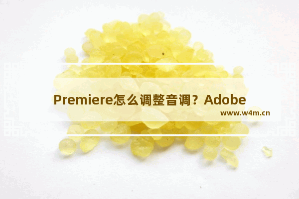 Premiere怎么调整音调？Adobe Premiere调整音调的方法