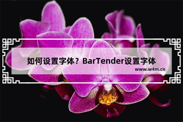 如何设置字体？BarTender设置字体的方法