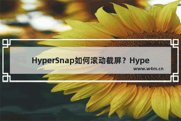 HyperSnap如何滚动截屏？HyperSnap滚动截屏的技巧