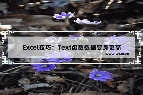 Excel技巧：Text函数数据变身更高效