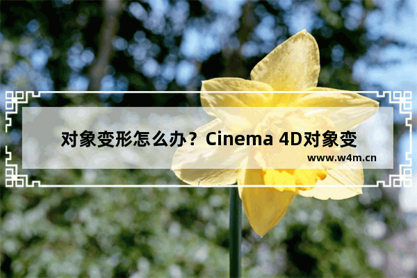 对象变形怎么办？Cinema 4D对象变形的解决方法