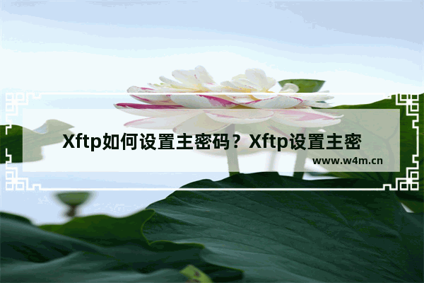 Xftp如何设置主密码？Xftp设置主密码的技巧