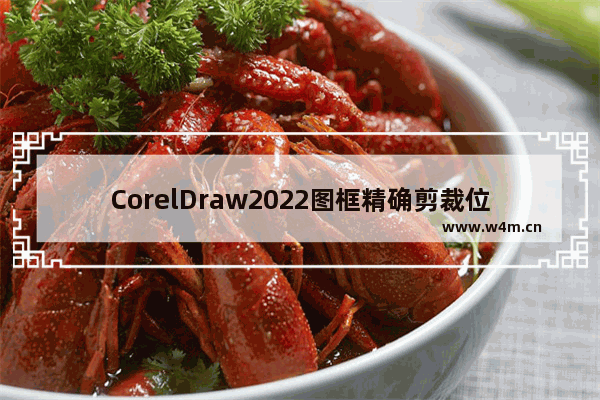 CorelDraw2022图框精确剪裁位置一览