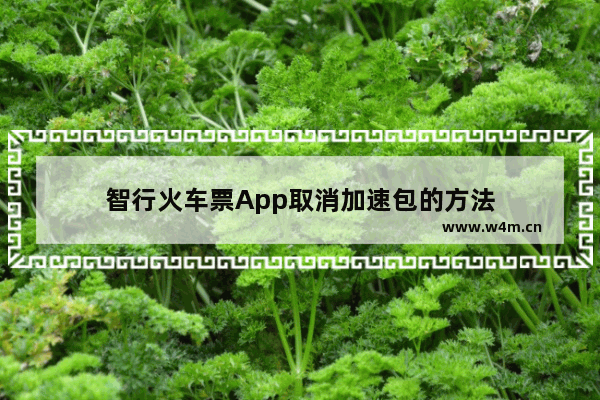 智行火车票App取消加速包的方法