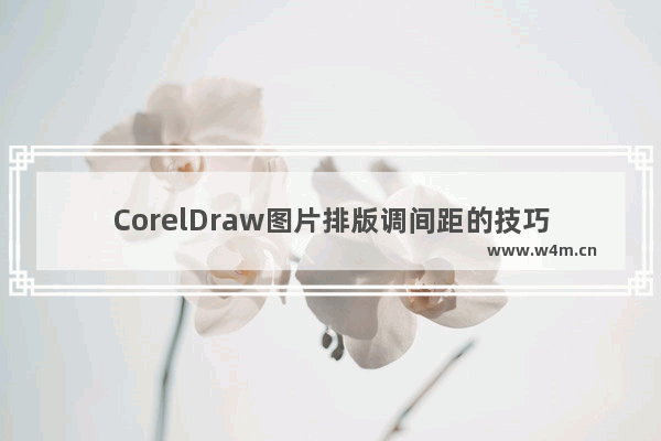 CorelDraw图片排版调间距的技巧