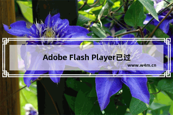 Adobe Flash Player已过期了怎么办？