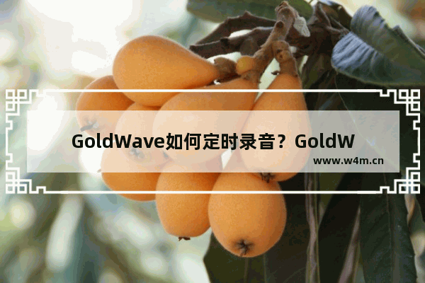 GoldWave如何定时录音？GoldWave定时录音的方法