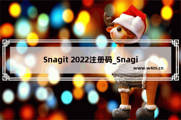 Snagit 2022注册码_Snagit 2022永久激活