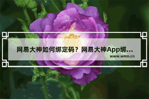 网易大神如何绑定码？网易大神App绑定码的方法