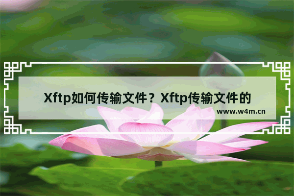 Xftp如何传输文件？Xftp传输文件的技巧