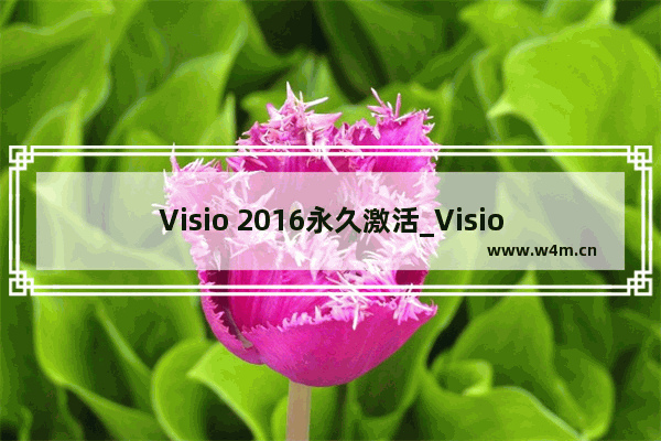 Visio 2016永久激活_Visio 2016最新序列号下载