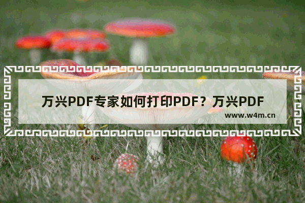 万兴PDF专家如何打印PDF？万兴PDF专家打印PDF的技巧