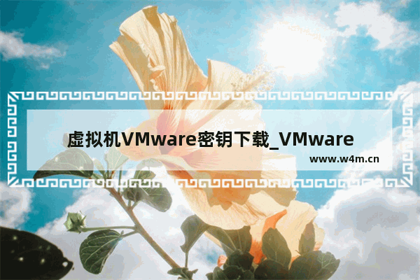 虚拟机VMware密钥下载_VMware Workstation 7激活码大全